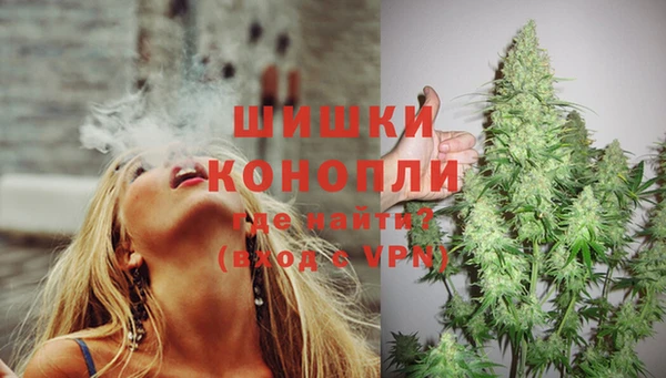 ГАЛЛЮЦИНОГЕННЫЕ ГРИБЫ Осинники